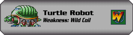 Turtle Robot