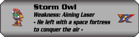 Storm Owl